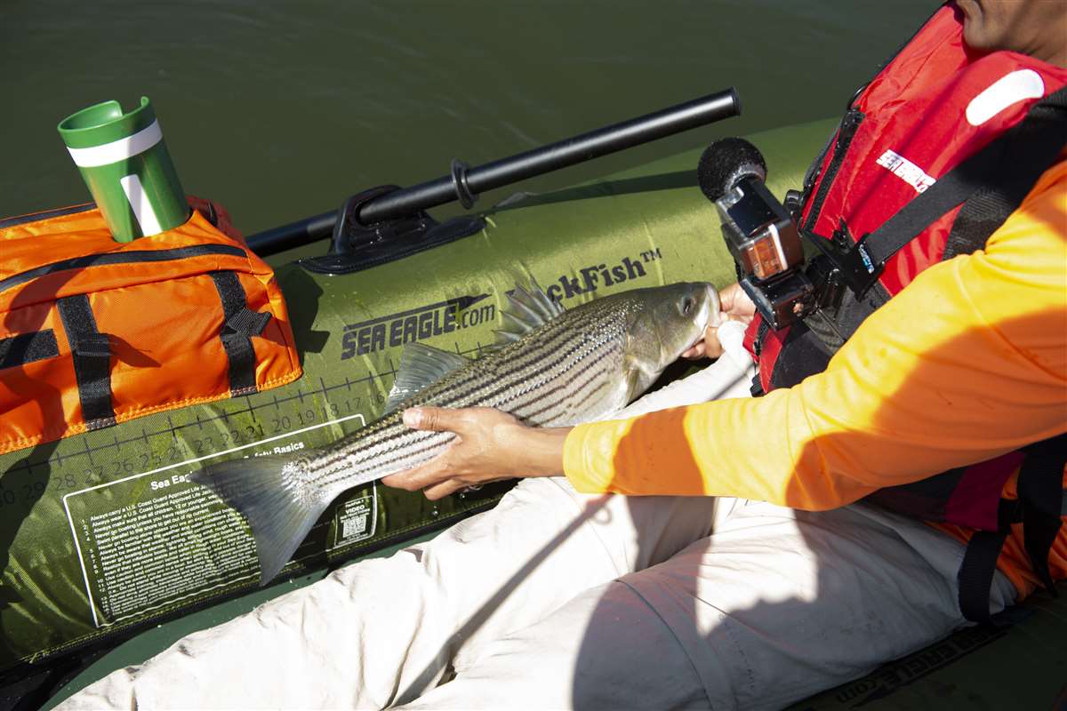 Sea Eagle PackFish7™ 1 person Inflatable Fishing Boat. Package Prices  starting at $469 plus FREE Shipping